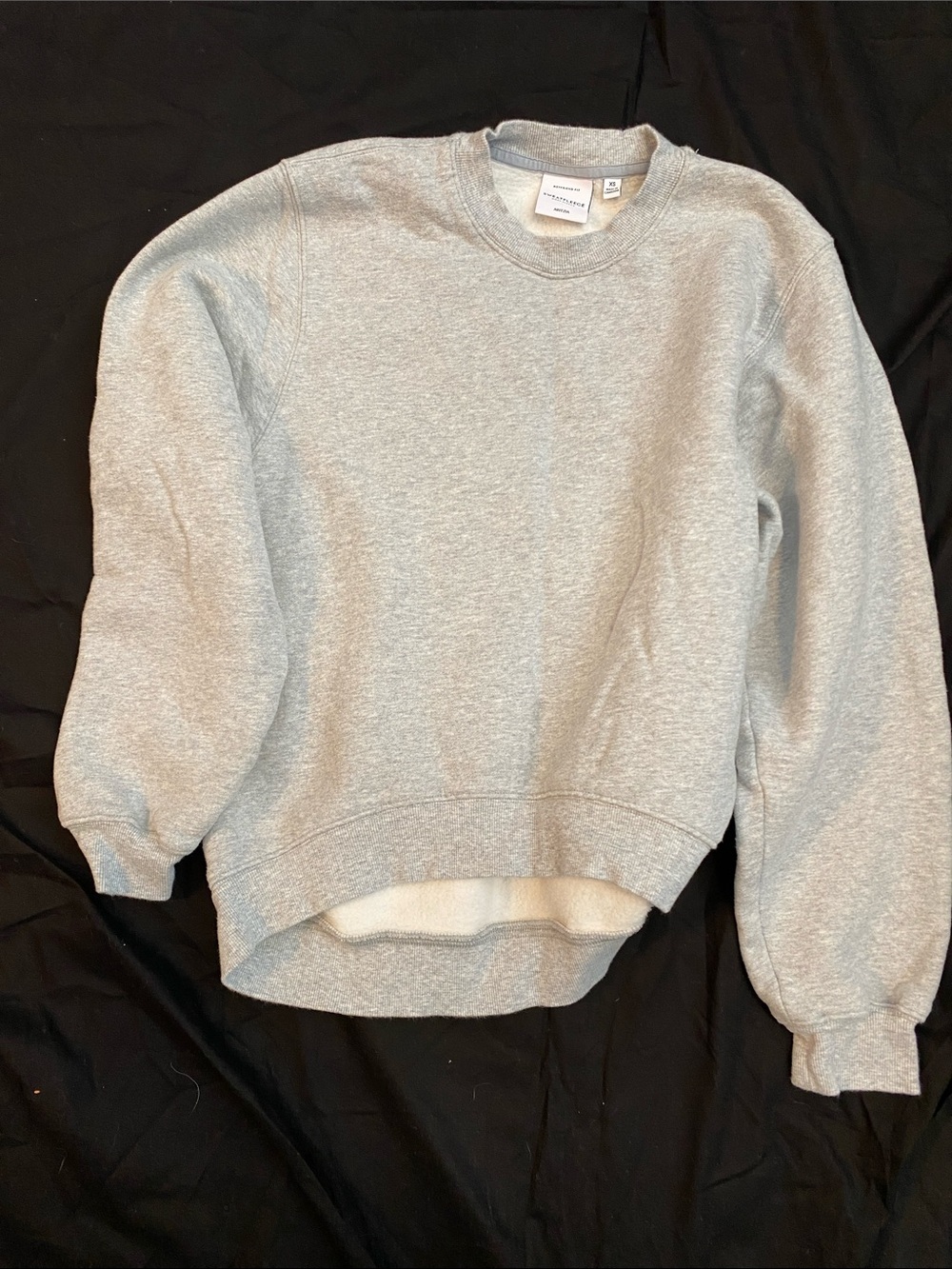 Aritzia Light Heather Gray Crewneck Sweatshirt
